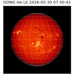 gong - 2026-05-30T07:00:42