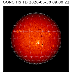 gong - 2026-05-30T09:00:22