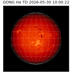 gong - 2026-05-30T10:00:22