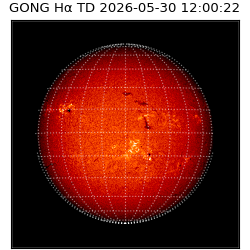 gong - 2026-05-30T12:00:22