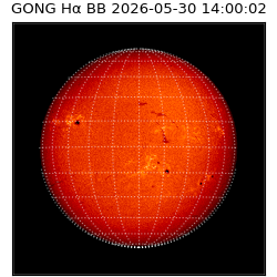 gong - 2026-05-30T14:00:02