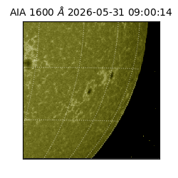 saia - 2026-05-31T09:00:14.123000
