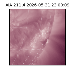 saia - 2026-05-31T23:00:09.631000