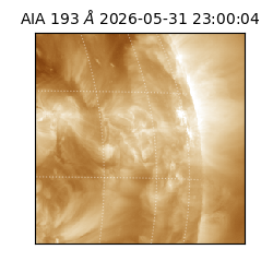 saia - 2026-05-31T23:00:04.843000