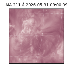 saia - 2026-05-31T09:00:09.620000