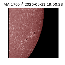saia - 2026-05-31T19:00:28.720000