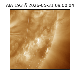 saia - 2026-05-31T09:00:04.842000