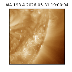 saia - 2026-05-31T19:00:04.842000