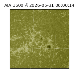 saia - 2026-05-31T06:00:14.124000