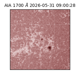saia - 2026-05-31T09:00:28.717000