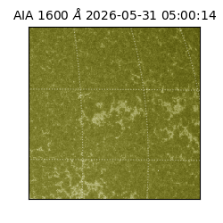 saia - 2026-05-31T05:00:14.131000