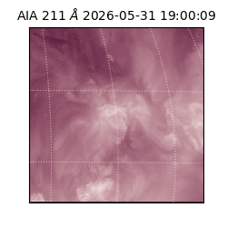 saia - 2026-05-31T19:00:09.630000