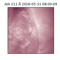 saia - 2026-05-31T08:00:09.629000