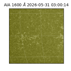 saia - 2026-05-31T03:00:14.129000