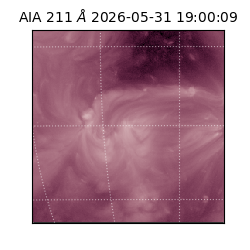 saia - 2026-05-31T19:00:09.630000