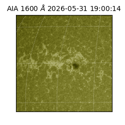 saia - 2026-05-31T19:00:14.124000