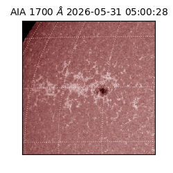saia - 2026-05-31T05:00:28.717000