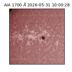 saia - 2026-05-31T10:00:28.717000
