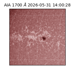 saia - 2026-05-31T14:00:28.717000
