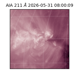 saia - 2026-05-31T08:00:09.629000