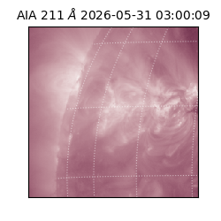 saia - 2026-05-31T03:00:09.623000