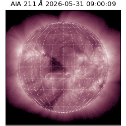 saia - 2026-05-31T09:00:09.620000