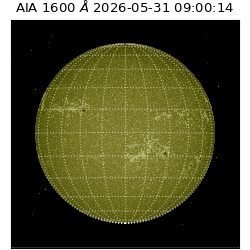 saia - 2026-05-31T09:00:14.123000