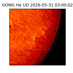 gong - 2026-05-31T03:00:02