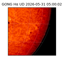 gong - 2026-05-31T05:00:02