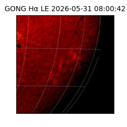 gong - 2026-05-31T08:00:42