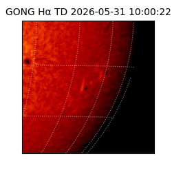 gong - 2026-05-31T10:00:22