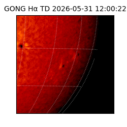 gong - 2026-05-31T12:00:22