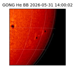 gong - 2026-05-31T14:00:02