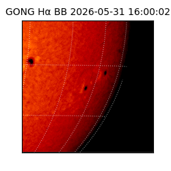 gong - 2026-05-31T16:00:02