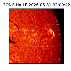 gong - 2026-05-31T02:00:42
