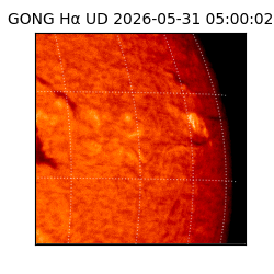 gong - 2026-05-31T05:00:02