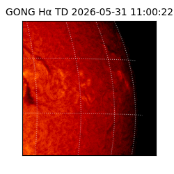 gong - 2026-05-31T11:00:22