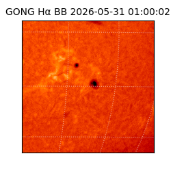 gong - 2026-05-31T01:00:02