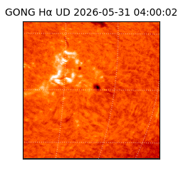 gong - 2026-05-31T04:00:02