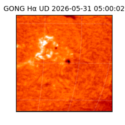 gong - 2026-05-31T05:00:02