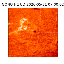 gong - 2026-05-31T07:00:02