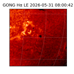 gong - 2026-05-31T08:00:42