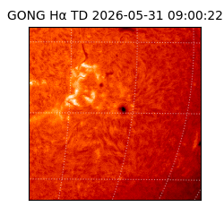 gong - 2026-05-31T09:00:22