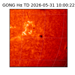 gong - 2026-05-31T10:00:22
