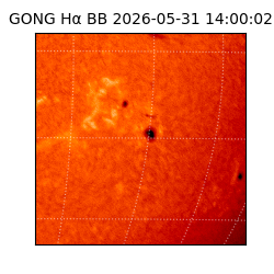 gong - 2026-05-31T14:00:02