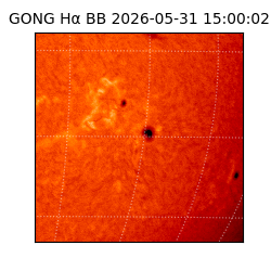 gong - 2026-05-31T15:00:02
