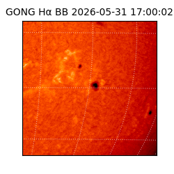 gong - 2026-05-31T17:00:02