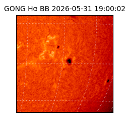 gong - 2026-05-31T19:00:02