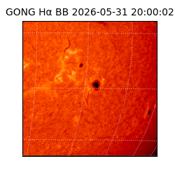 gong - 2026-05-31T20:00:02