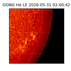 gong - 2026-05-31T02:00:42